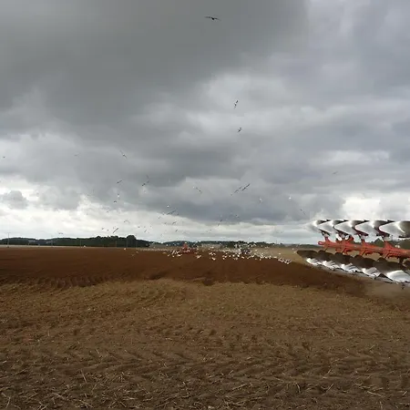 Apartman Strandhotel Louisa & Appartementhaeuser Josephine Und Christine Juliusruh