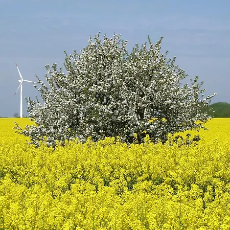 Strandhotel Louisa & Appartementhaeuser Josephine Und Christine 4*